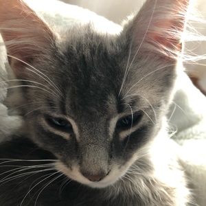 Meet your Posher, Katrina